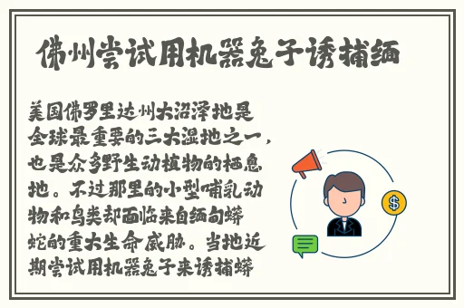 榴莲丝瓜绿巨人秋葵草莓